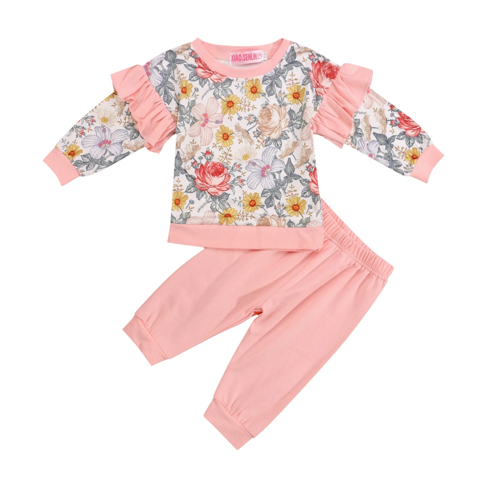 Toddler Girls 2Pcs Fall Outfits, Long Sleeve Floral Pullover and Pants