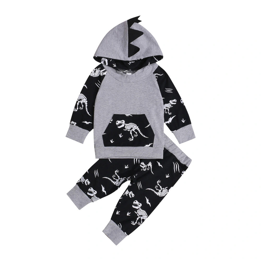 Baby 2Pcs Fall Outfits, Long Sleeve Dinosaur Printed Hoodie and Pants