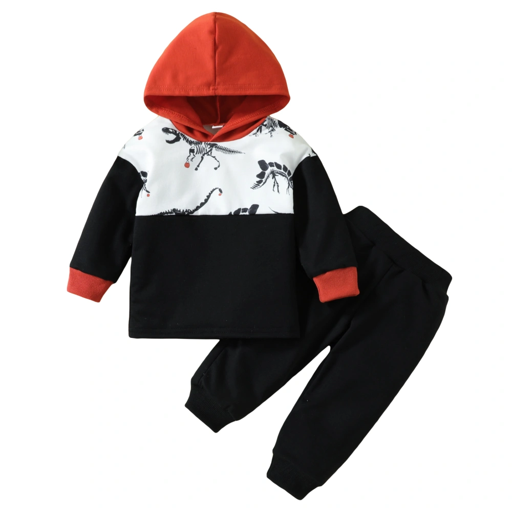 Boys Sweatsuit, Dinosaur Print Hooded Sweatshirt + Casual Pants Set