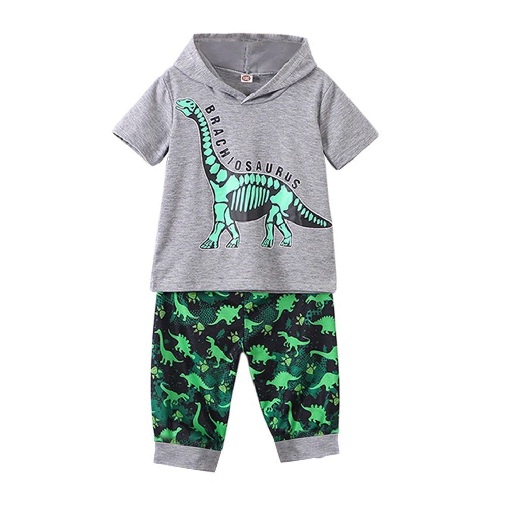 Kids Boys 2Pcs Outfits, Dinosaur Print Hooded Tops + Leisure Shorts