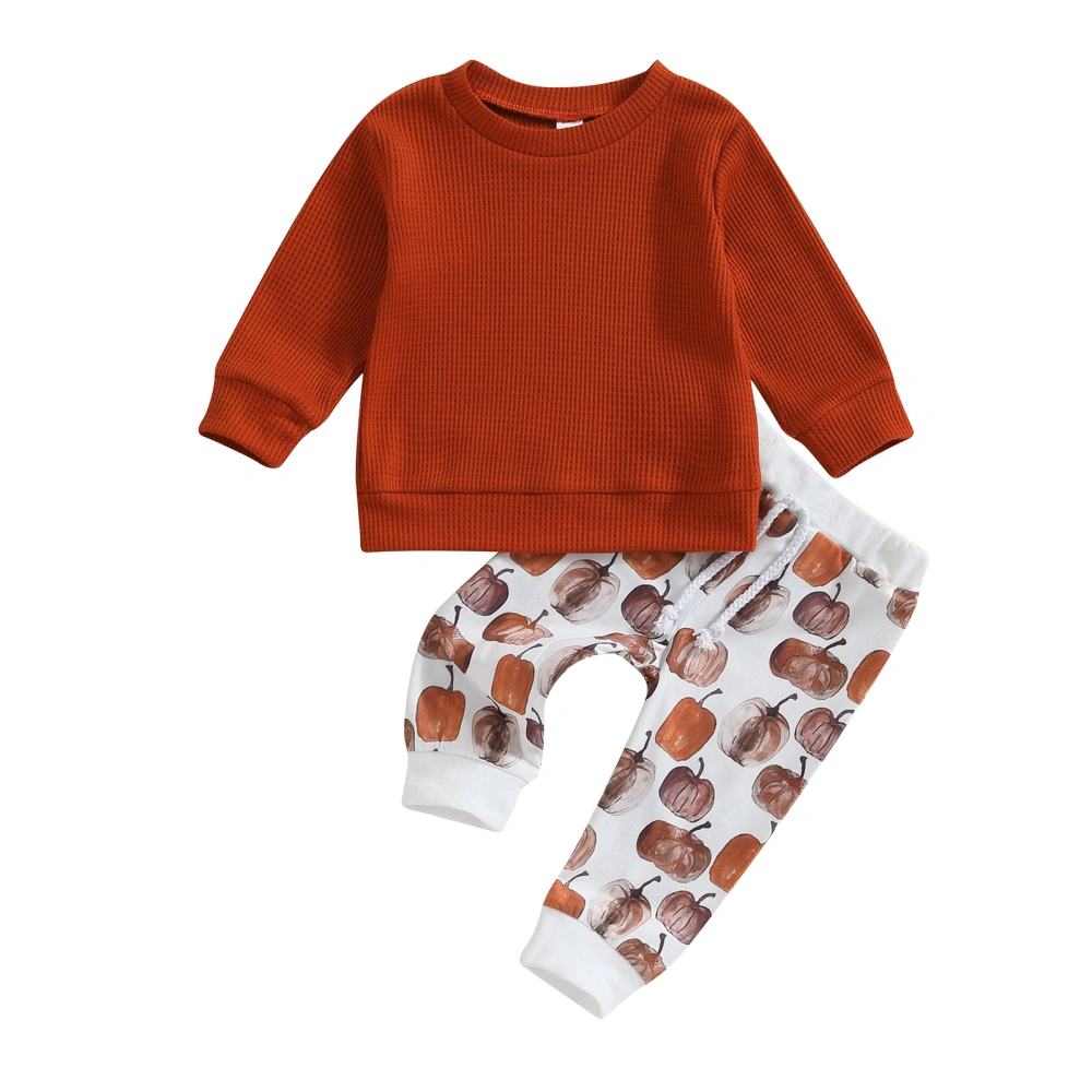 Toddler Girls Solid Color Long Sleeve Tops Pumpkin Print Pants Sets