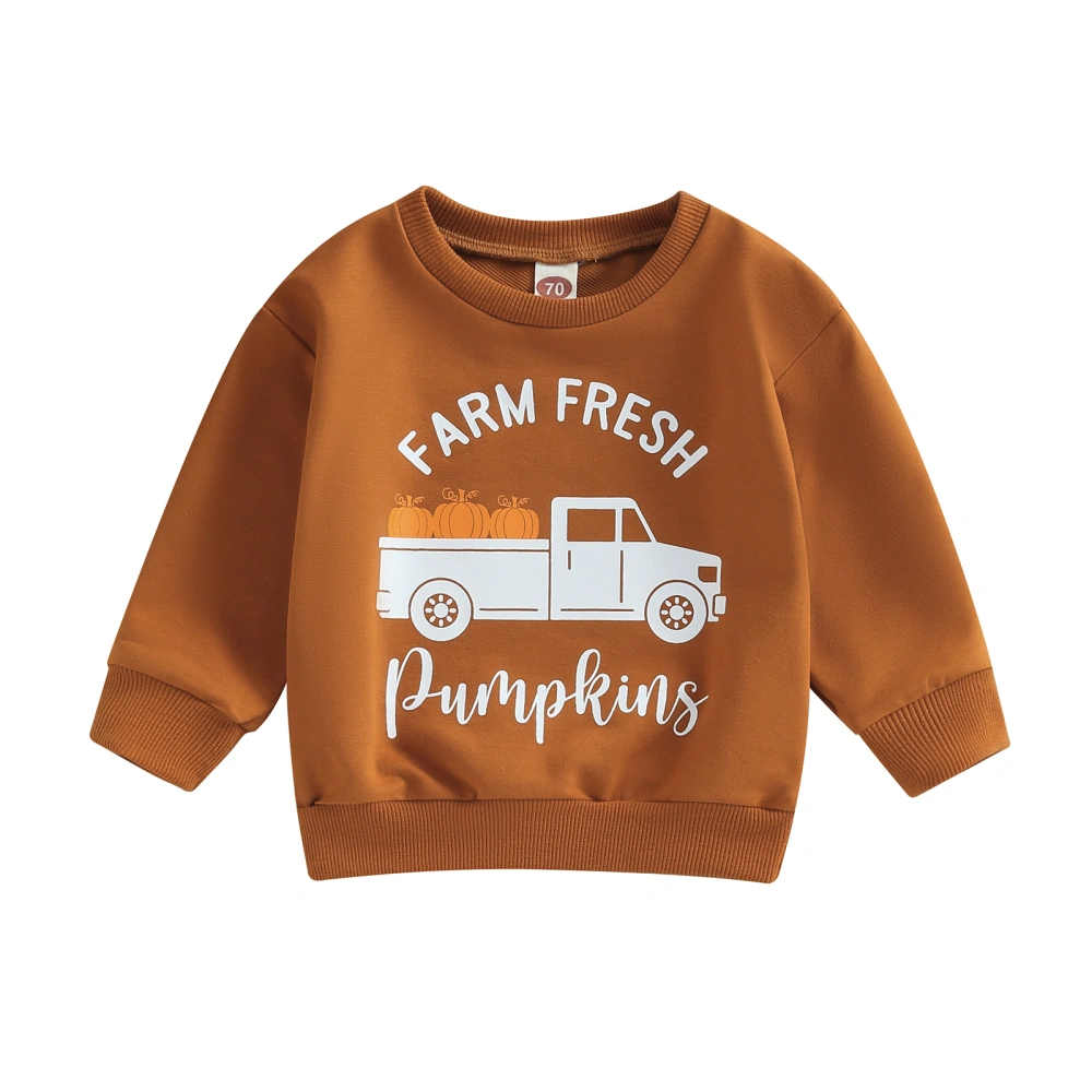 Baby Halloween Hoodie Letters Pumpkin Truck Print Sweatshirt