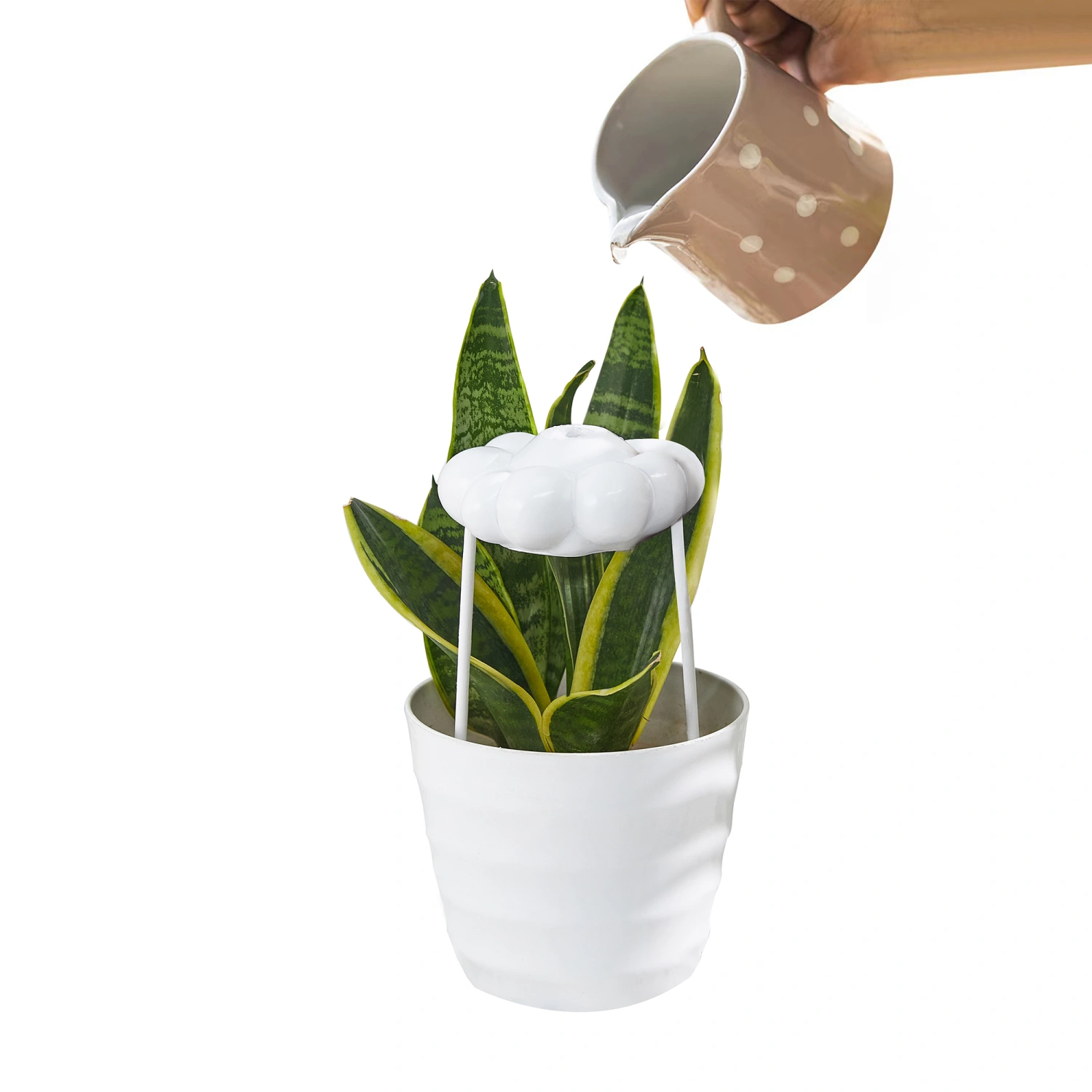 Dripping Rain Cloud for Plants, Plant Watering Cloud, Plant Lover Gift