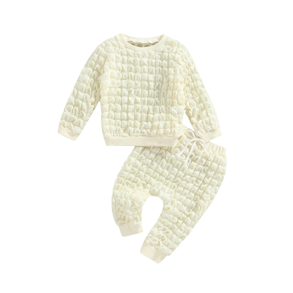 2Pcs Baby Girl Boy Fall Outfit, Textured Long Sleeve Tops + Pants Set