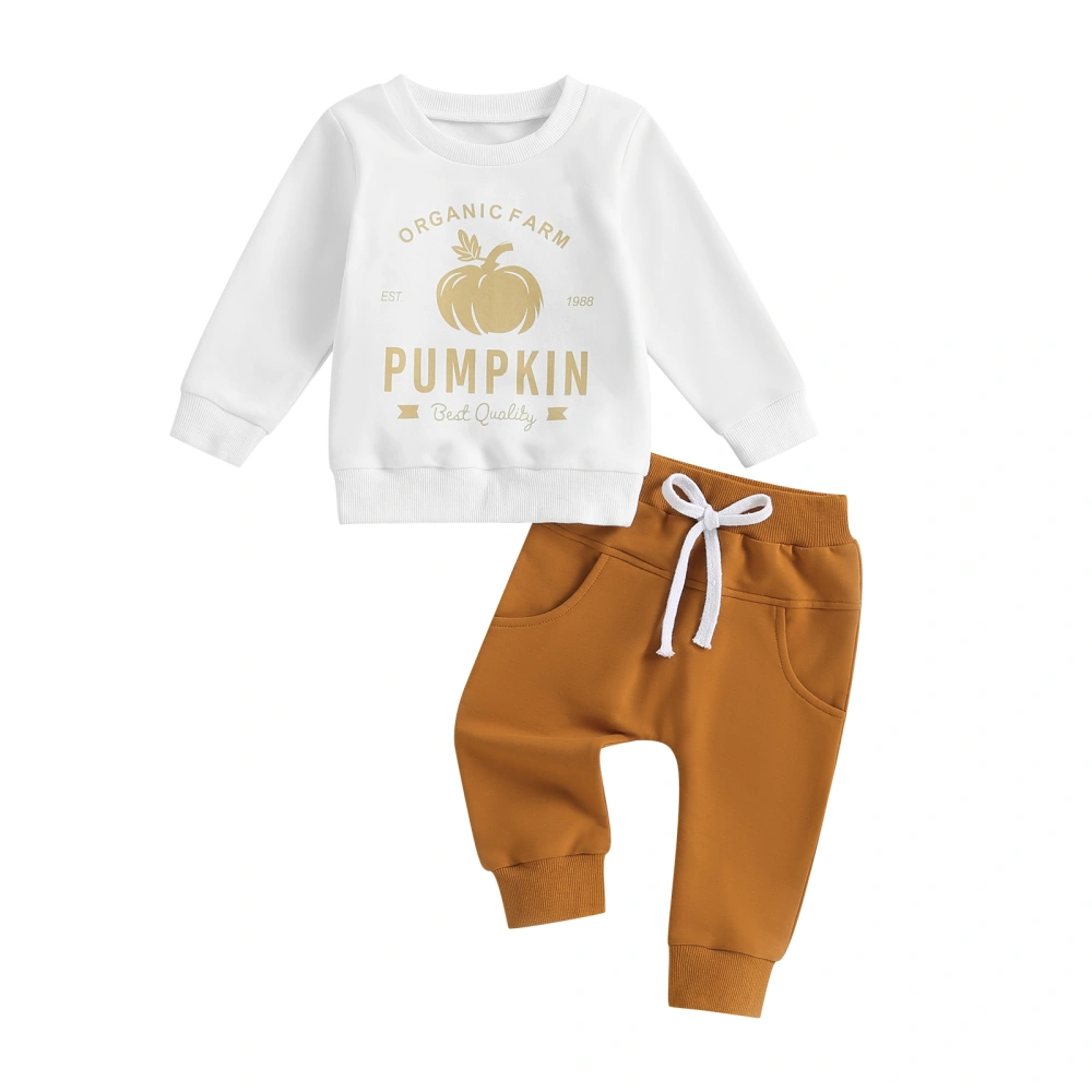 Baby 2Pcs Fall Outfits Pumpkin Print Sweatshirt and Trousers Set