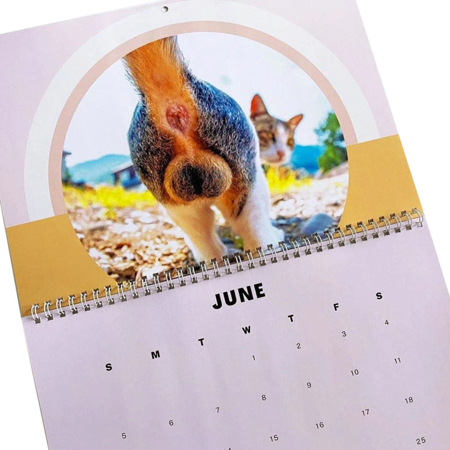 2022 Cats Pattern Calendar Wall Calendar for Home and Office, Monthly