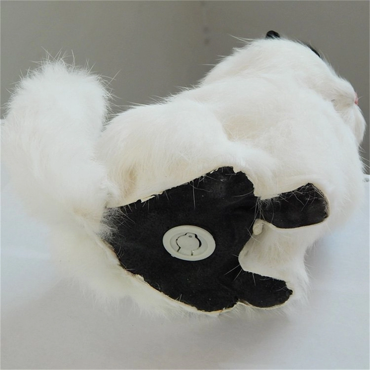 Simulated Animal Model, Cat Children Toys, Solid Plush Little Kitty