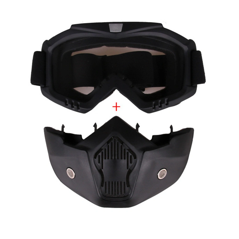 Adult Removable Motorcycle Goggles, Snowboard Ski Snowmobile Helmets Glasses