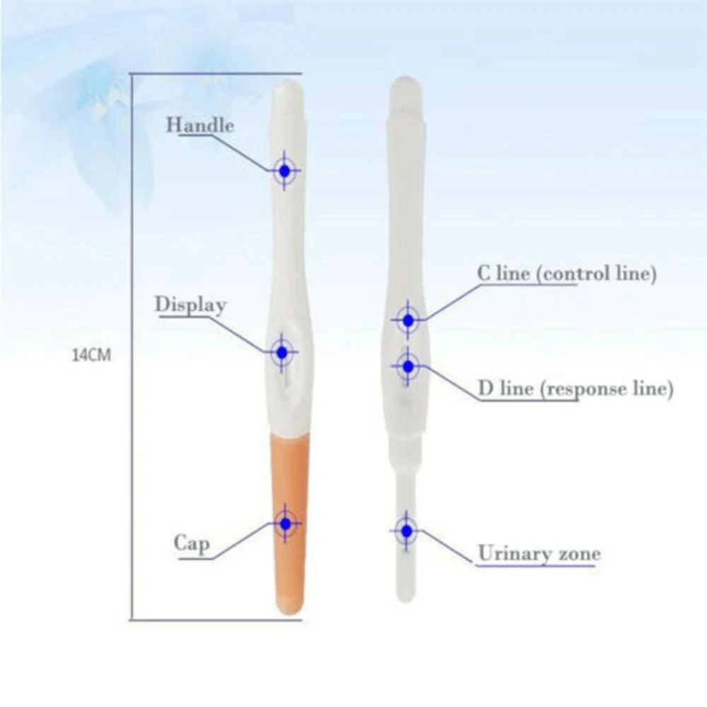 Household Pregnancy Tests Stick HCG Urine Testing Early Pregnancy Test Pen