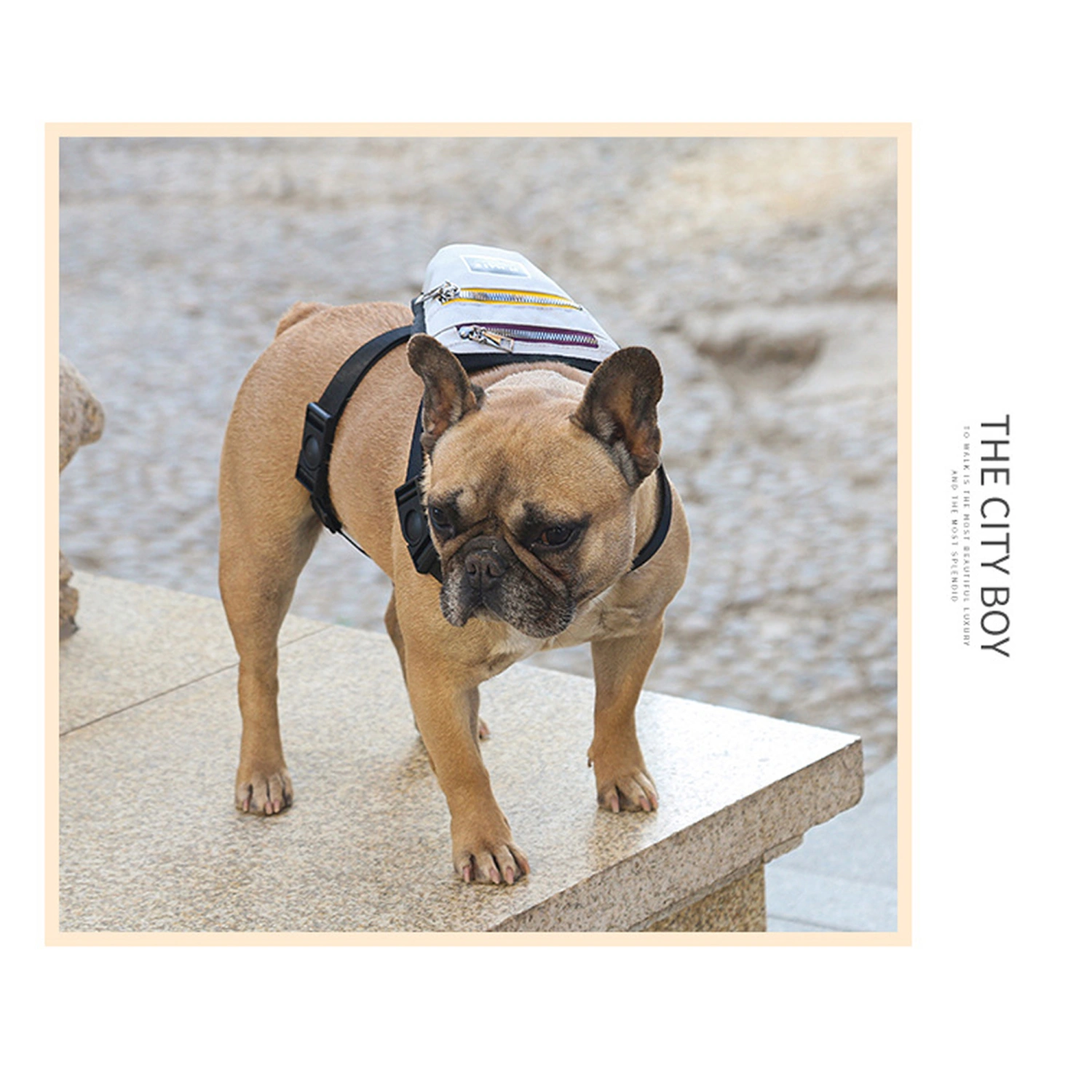 Dog Self Backpack with Adjustable Shoulder Strap, Oxford Cloth