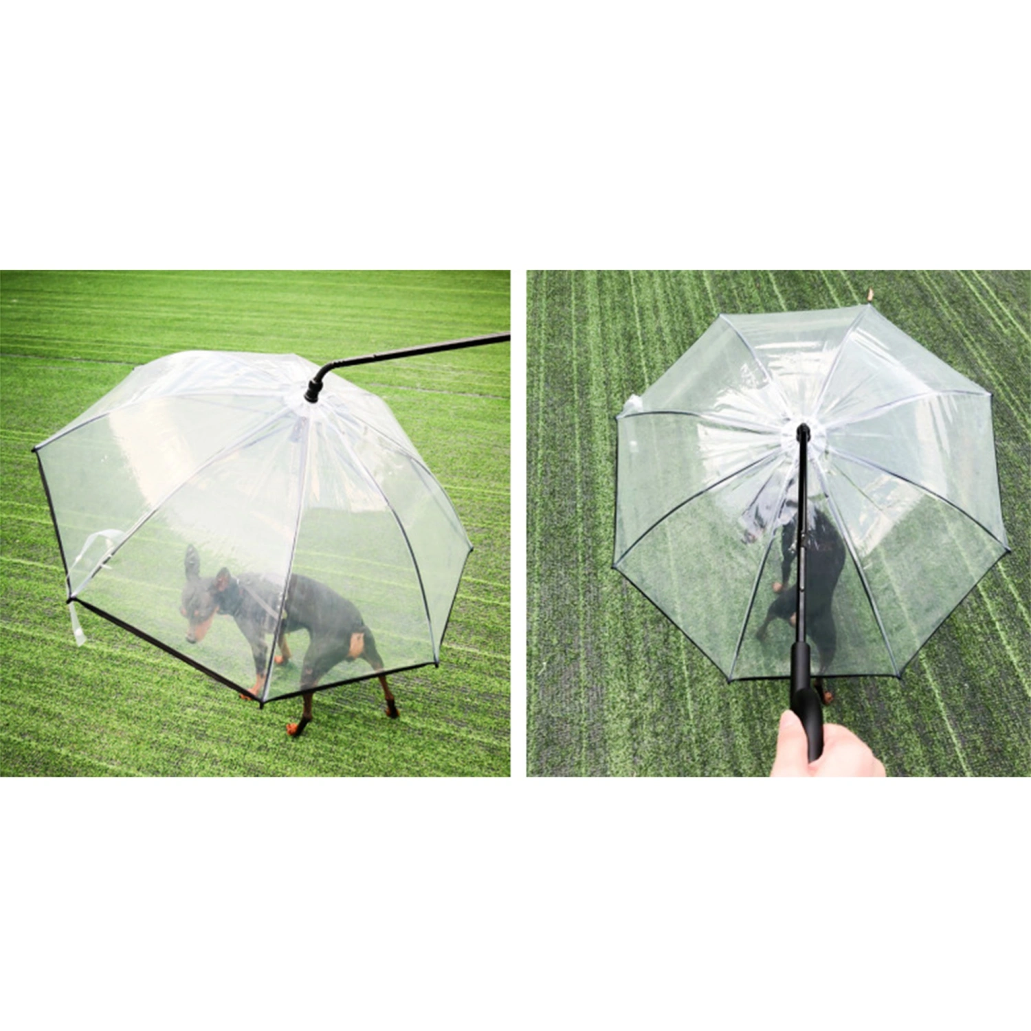 Pet Umbrella with Ergonomic Handle, Transparent Adjustable Leash