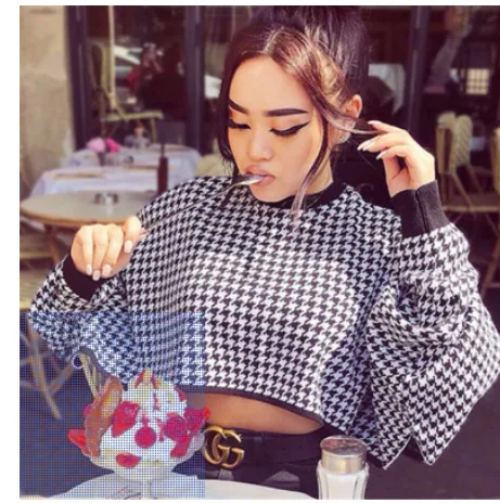 Women Casual Tops, Long Sleeve Round Collar Houndstooth Crop Tops