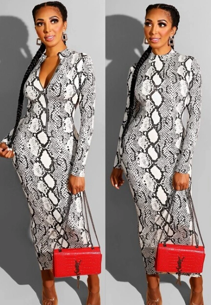 Women Snakeskin Print Dress Long Sleeve Front Zipper Winter Dress