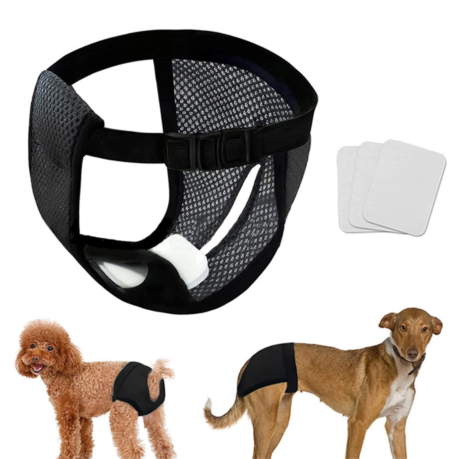 Highly Absorbent Washable Female Dog Diapers with Adjustable Buckle