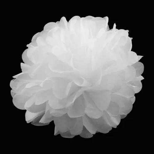 5PCS Tissue Pom Poms Flower Balls, DIY Hanging Paper Decorations Kit