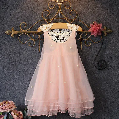 Baby Girls Chiffon Dress Sleeveless Lace Backless A-Line Tulle Gown