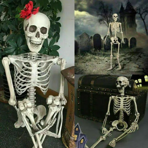 Halloween Hanging Skeleton, Solid Color Scary Simulation Skeleton
