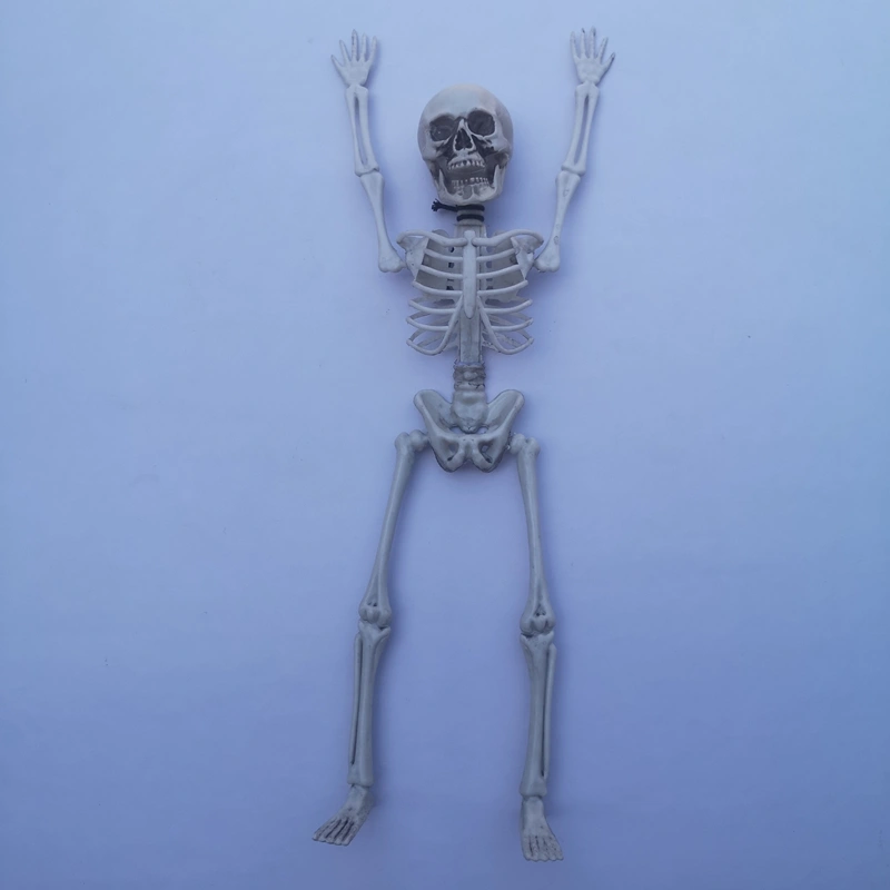 Halloween Hanging Skeleton, Solid Color Scary Simulation Skeleton