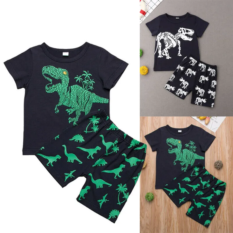 Little Boy 2PCS Outfit Set, Short Sleeve Dinosaur Printed Top, Short Loose Pants