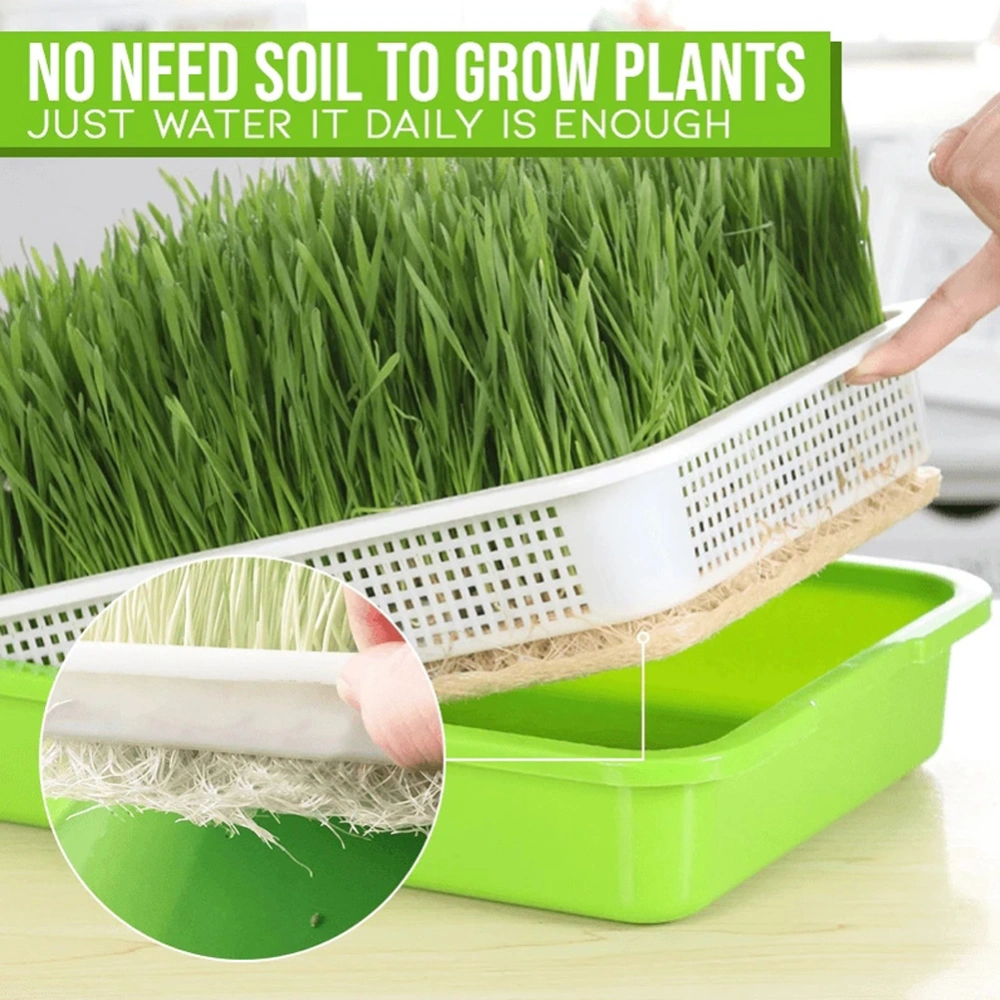 Bean Sprout Planter 2-Layer Drain Safe Plastic Hollow Germination Tool