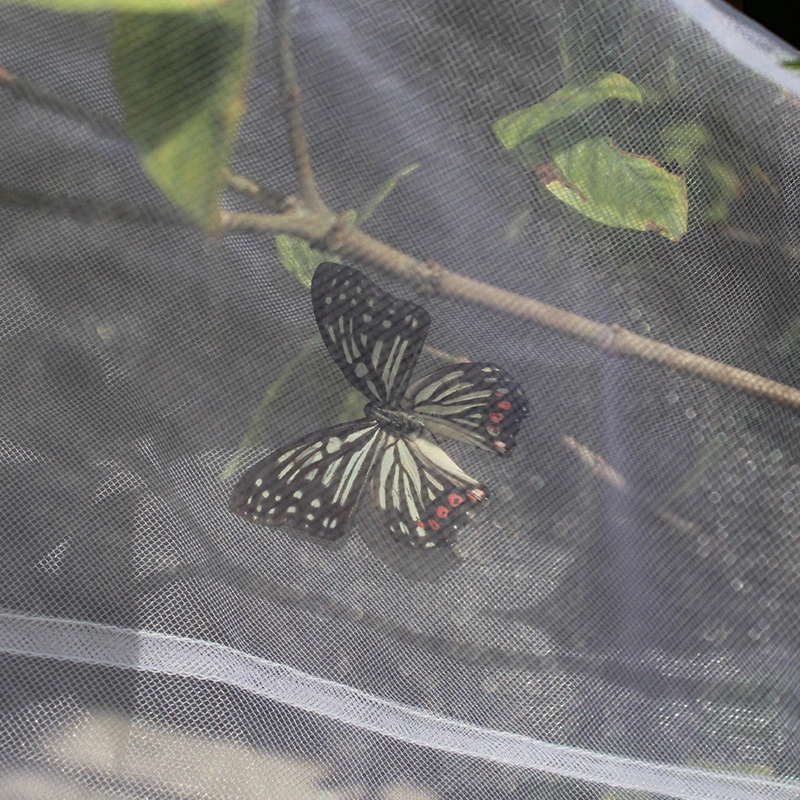 Insect Cage, Hanging Observation Ventilated Butterfly Habitat