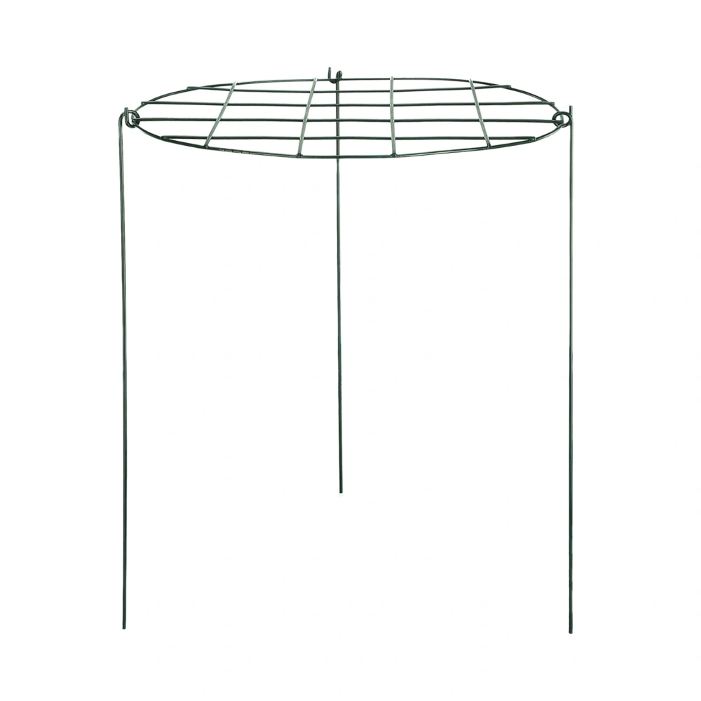 Garden Grid Shaped Iron Metal Plant Stand Strawberry Stand Plant Support Stake