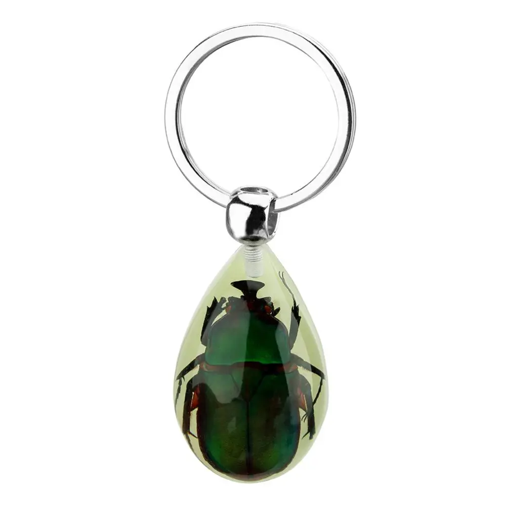 Glowing Insect Keychain Animal Specimens Keychain Resin Collectible Gift for Friends and Family