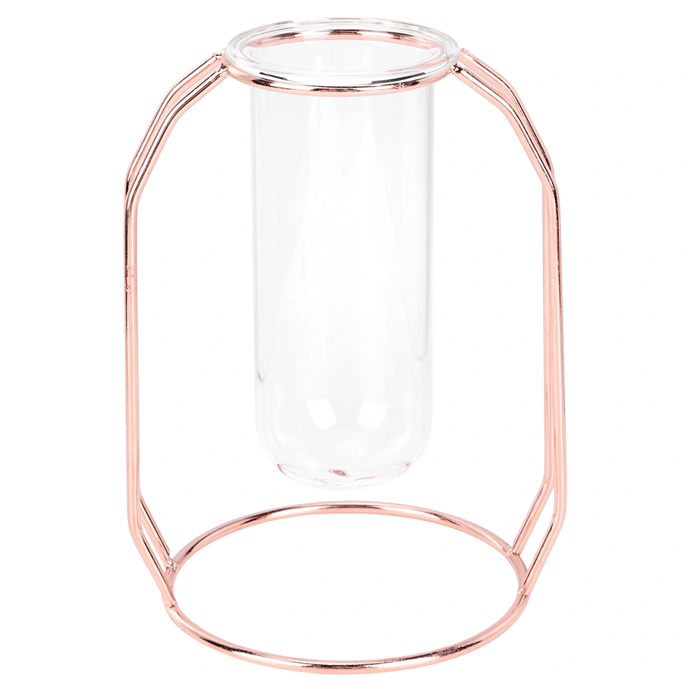 Transparent Hydroponic Plant Vases Flower Pot Tabletop Home DecorationsRose Gold