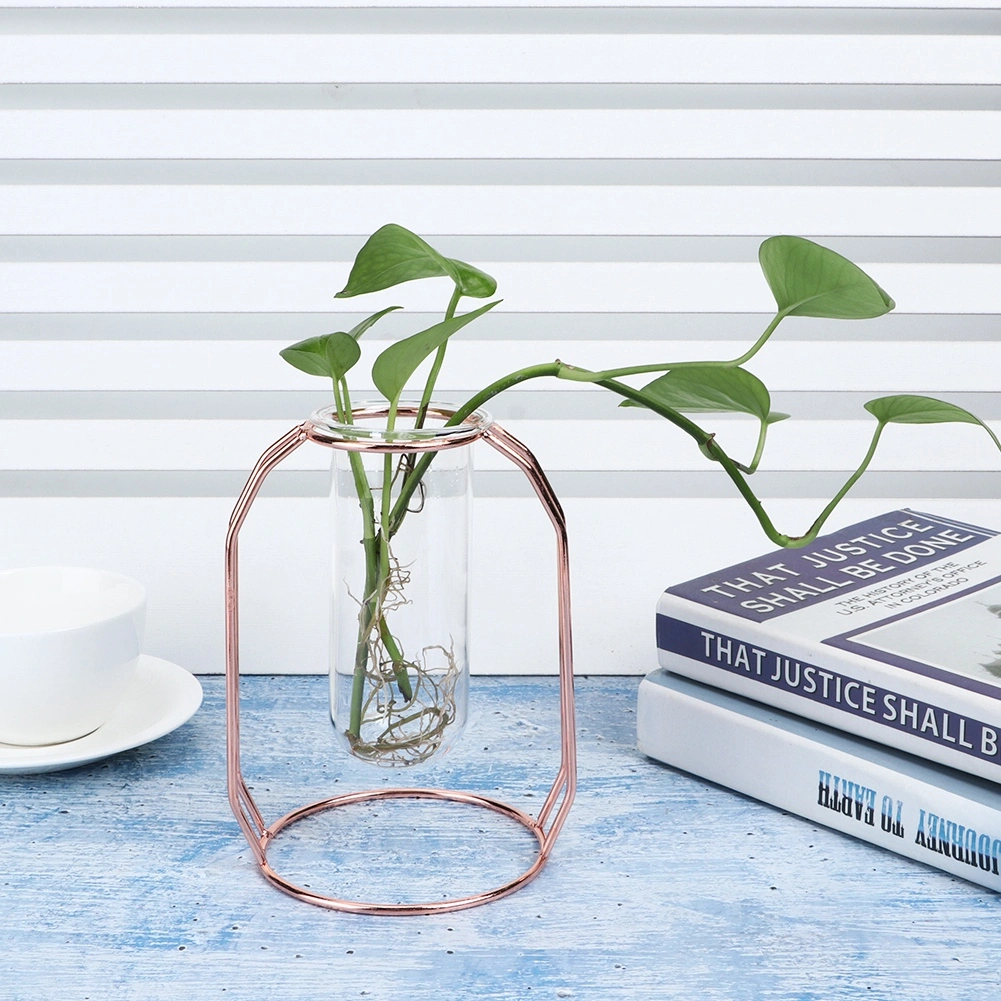 Transparent Hydroponic Plant Vases Flower Pot Tabletop Home DecorationsRose Gold