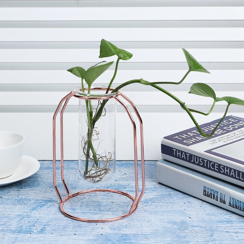 Transparent Hydroponic Plant Vases Flower Pot Tabletop Home DecorationsRose Gold