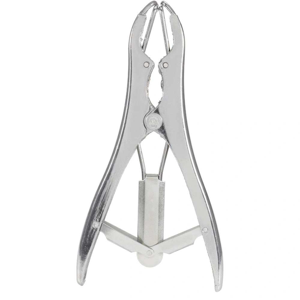 Stainless Steel Sheep Pig Castration Pliers Rings Veterinary Surgical Tool(Castration Pliers)