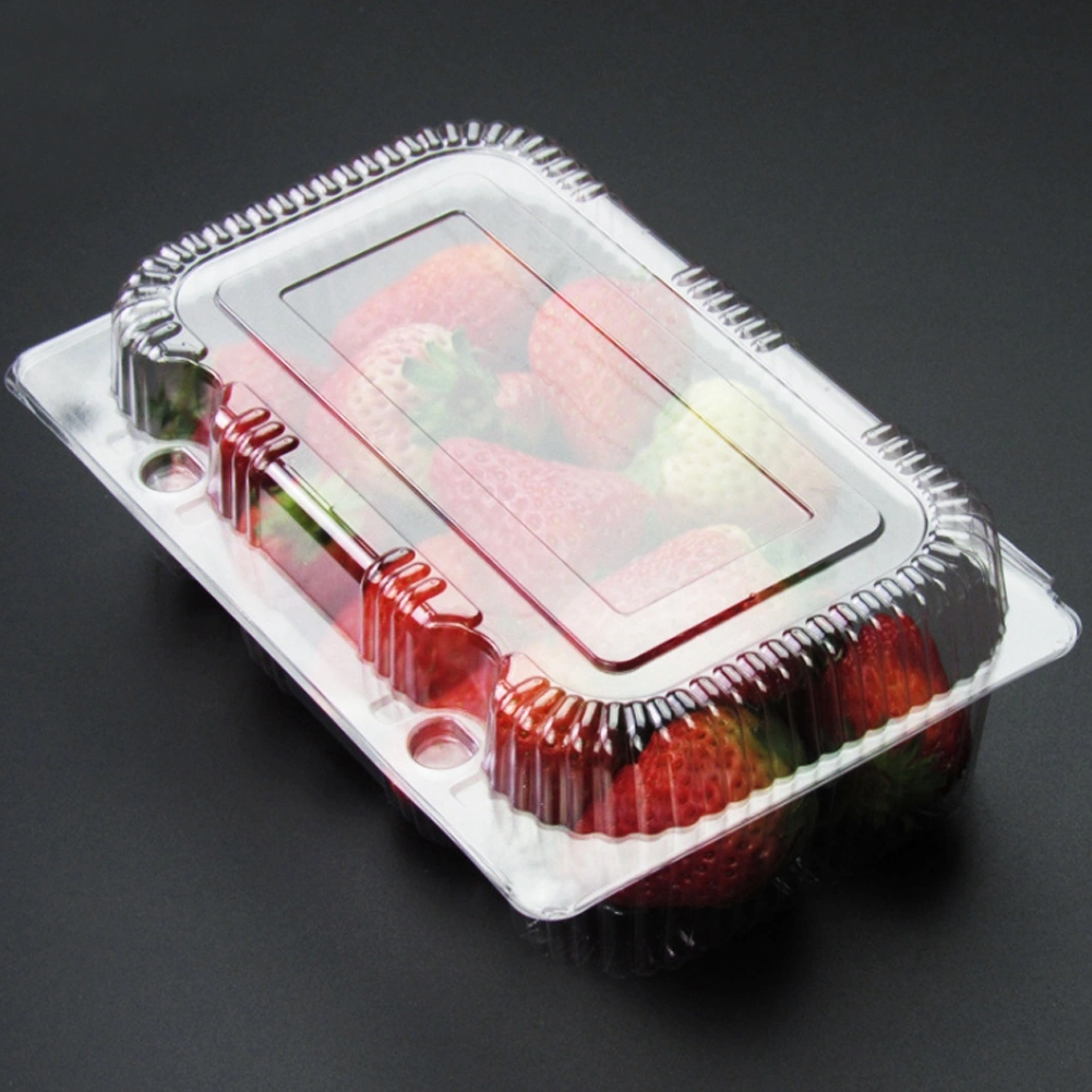 25 PCS Disposable Plastic Hinged Loaf Container Food Fruit Storage Box 18.5 x 12.5 x 7cm