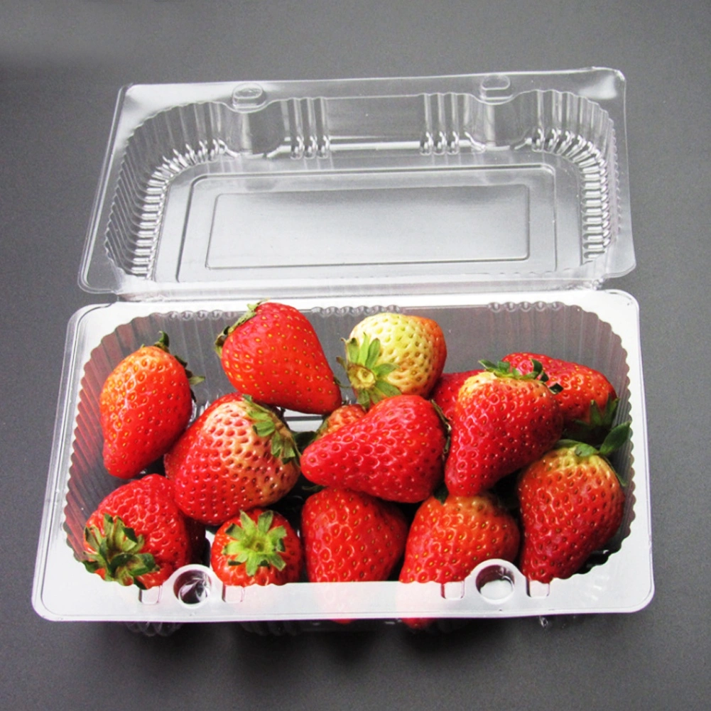 25 PCS Disposable Plastic Hinged Loaf Container Food Fruit Storage Box 18.5 x 12.5 x 7cm