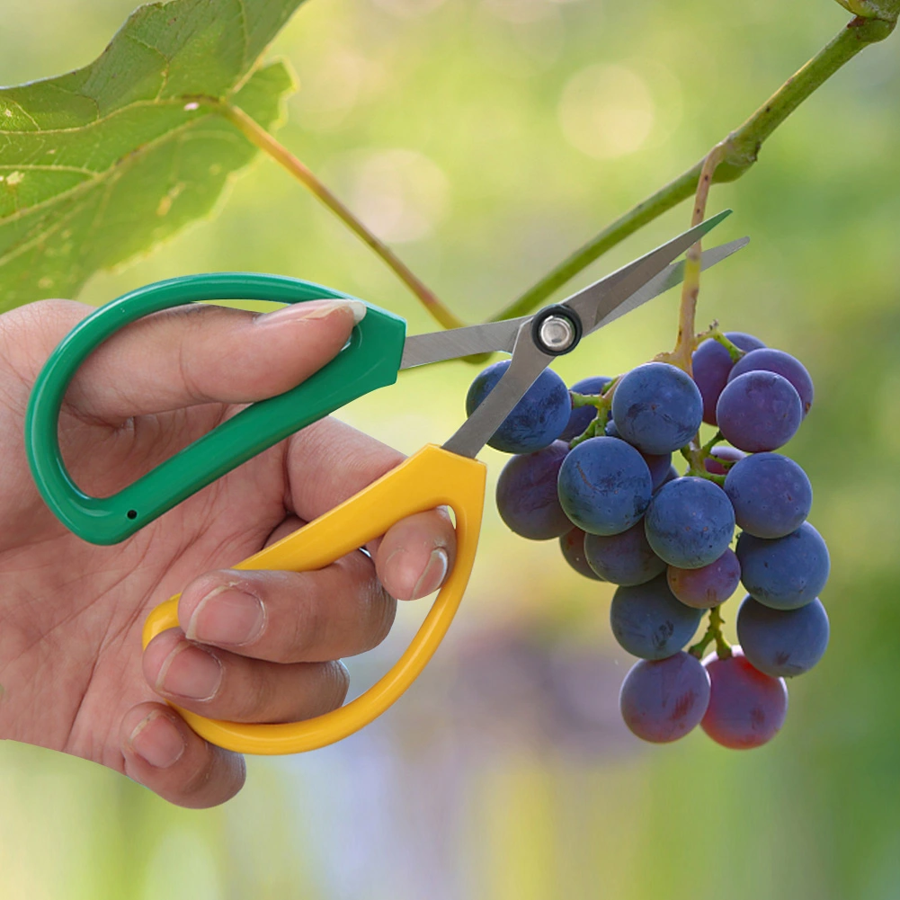 Stainless Steel Floral Scissors Plant Pruning Scissors Garden Cutter Hand Pruner
