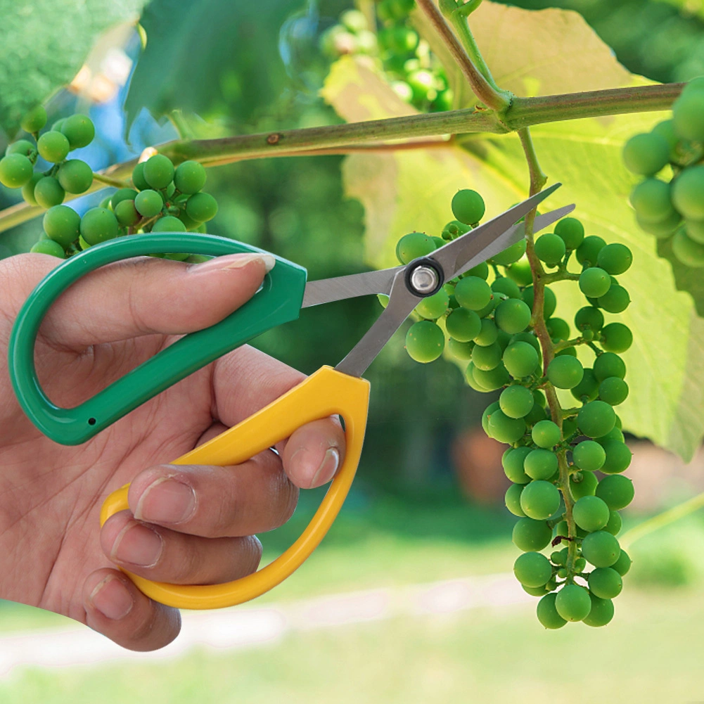 Stainless Steel Floral Scissors Plant Pruning Scissors Garden Cutter Hand Pruner