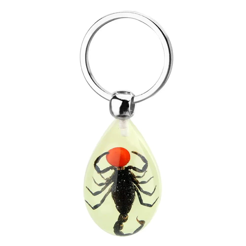 Glowing Insect Keychain Animal Specimens Keychain Resin Collectible Gift for Friends and Family