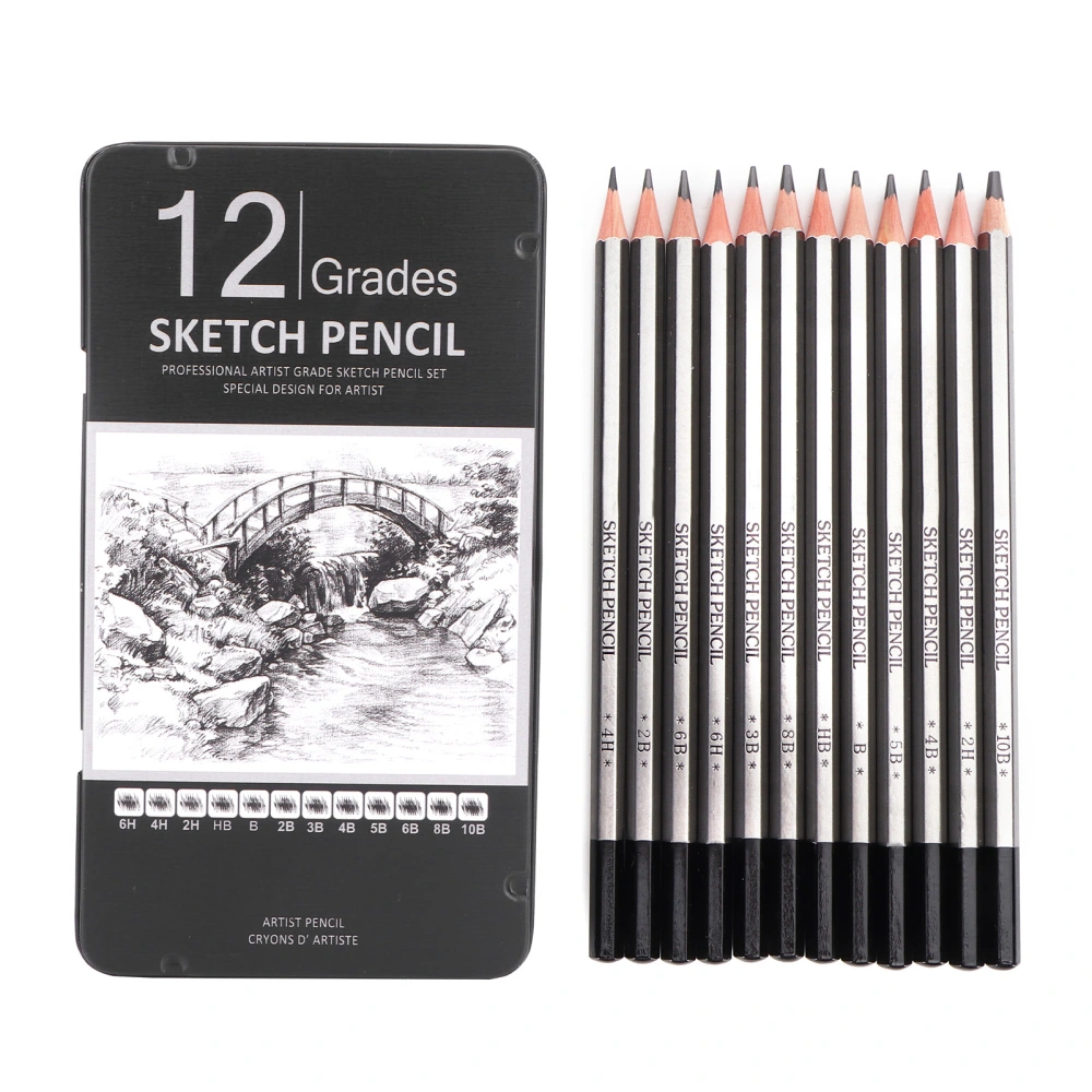 12Pcs Pencil Set Graphite Drawing Sketching Pencils with Box Art Painting Accessory