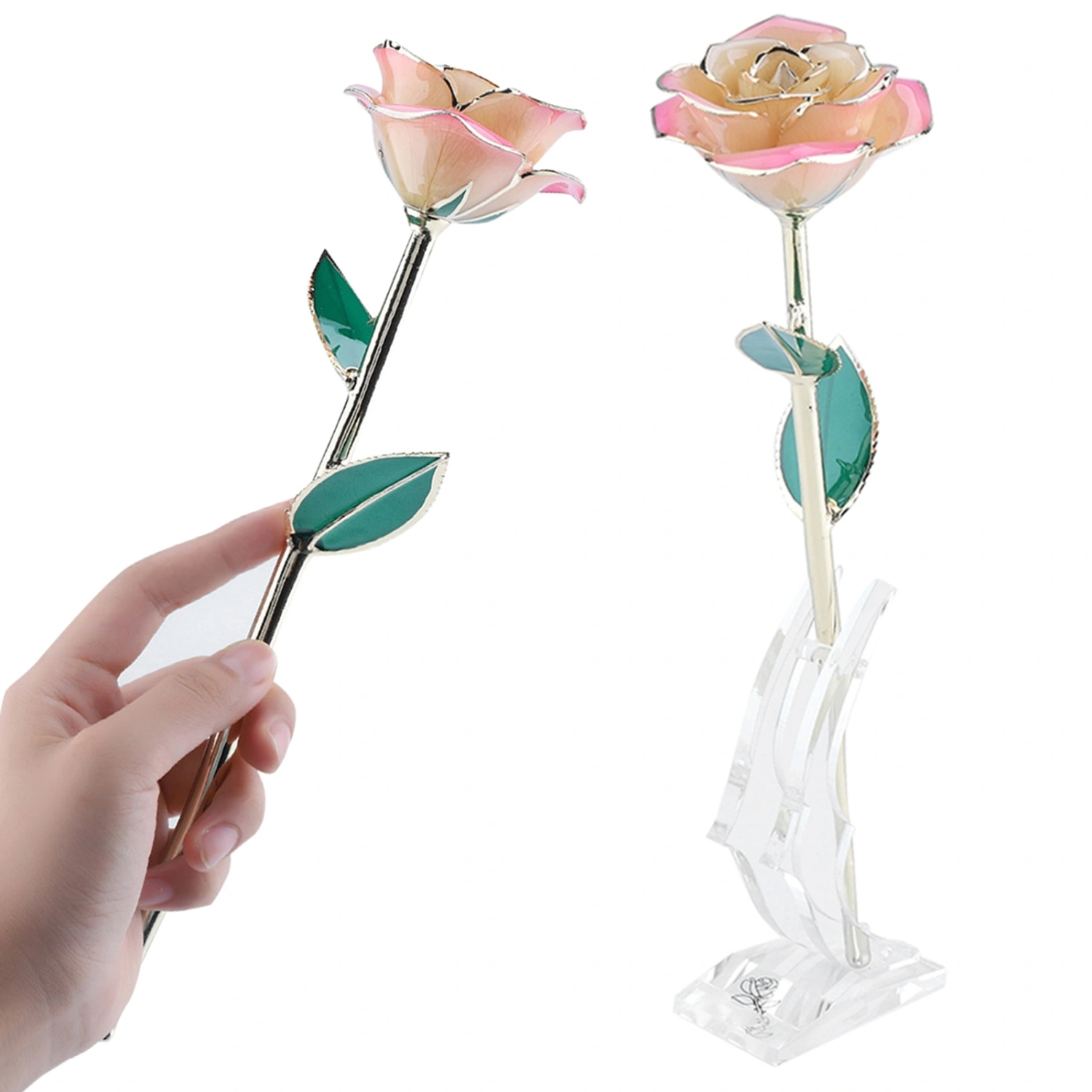 24K Gold Plating Flower White Pink Rose Green Leaf Base Gift Decoration for Valentine's Day