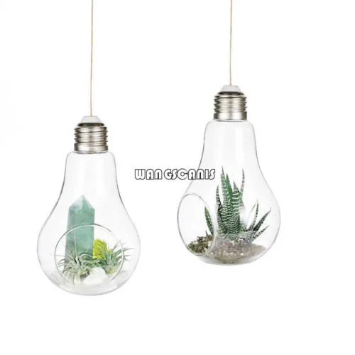 Hanging Glass Flowers Plant Vase Spherical Transparent Terrarium Container