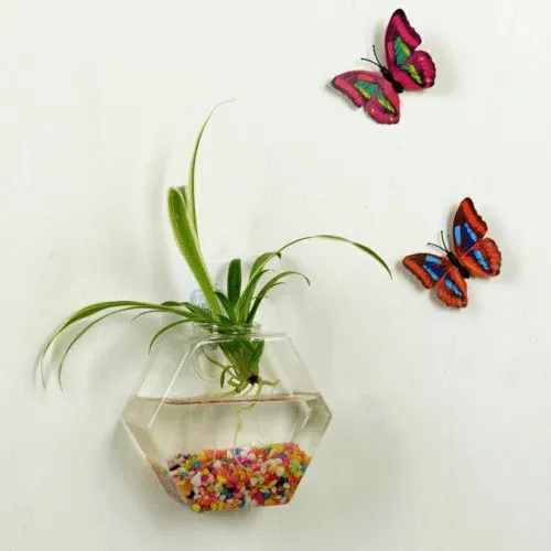 Hexagon Shape Wall Hanging Vase Transparent Plant Flower Pot