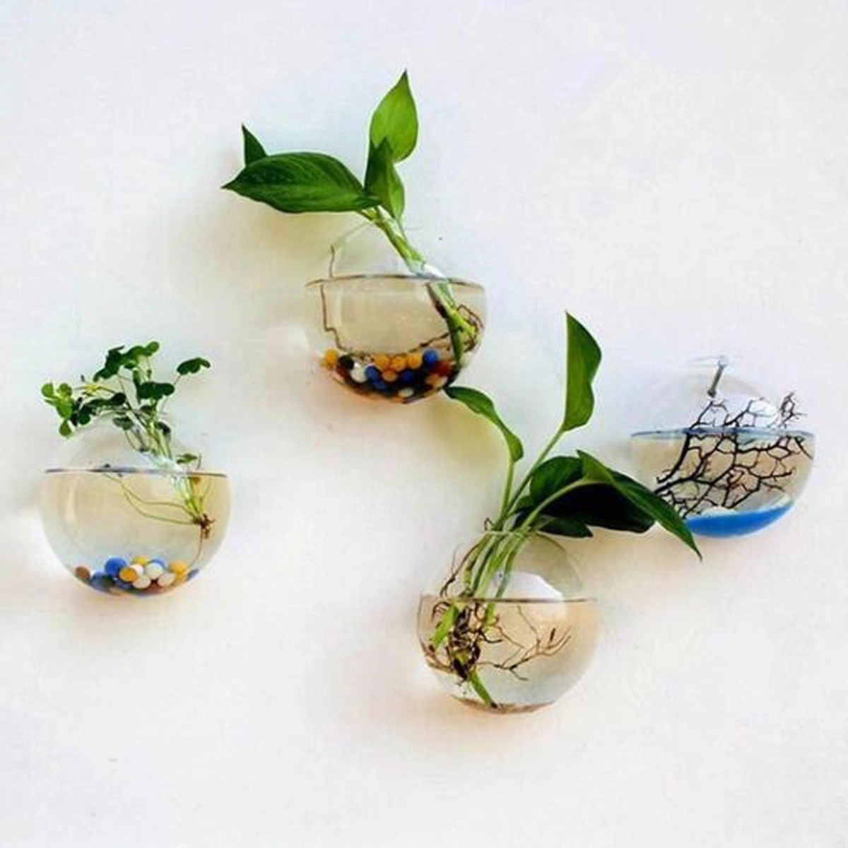 Wall-Mounted Glass Flower Pot Transparent Globe Shape Hanging Vase Planter