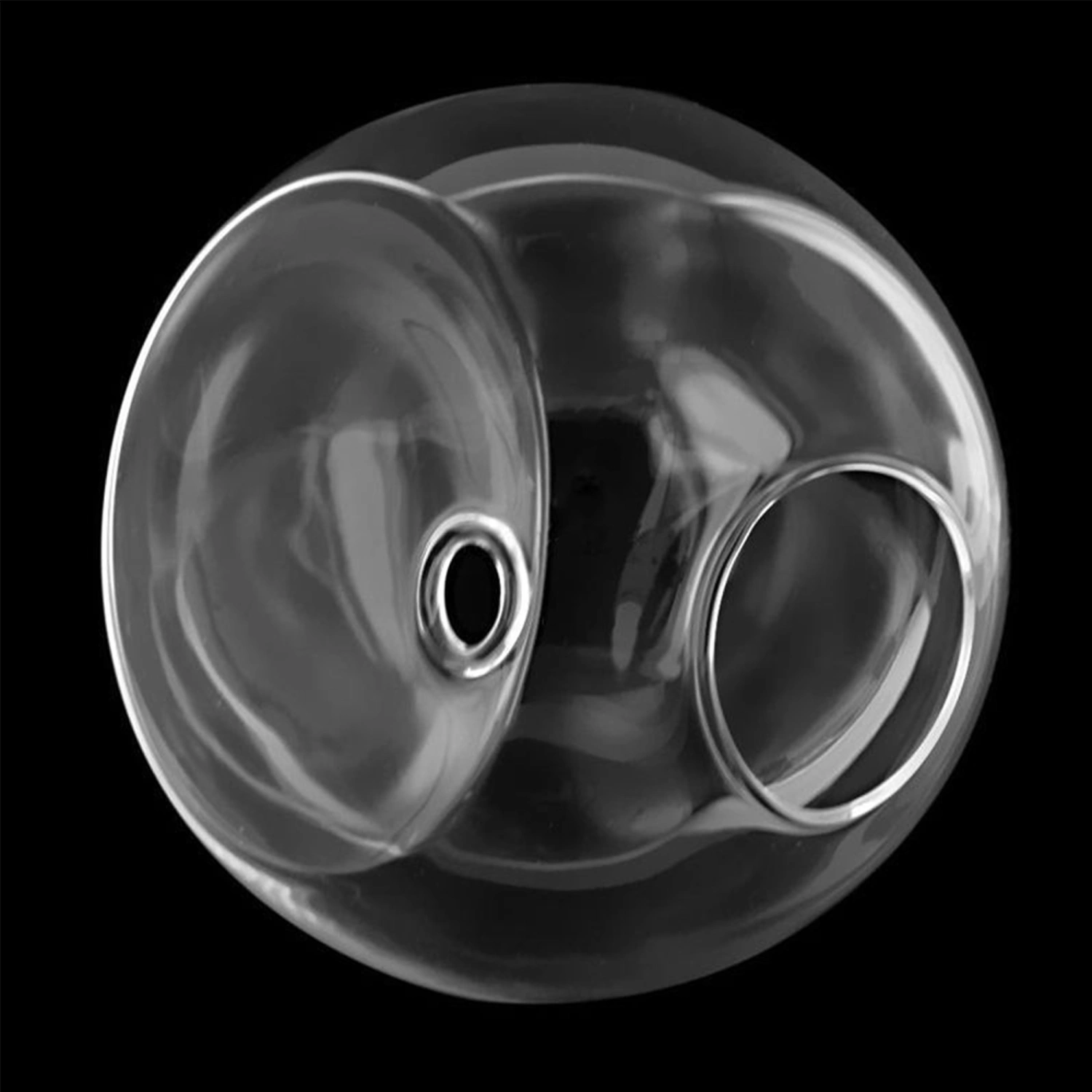 Wall-Mounted Glass Flower Pot Transparent Globe Shape Hanging Vase Planter
