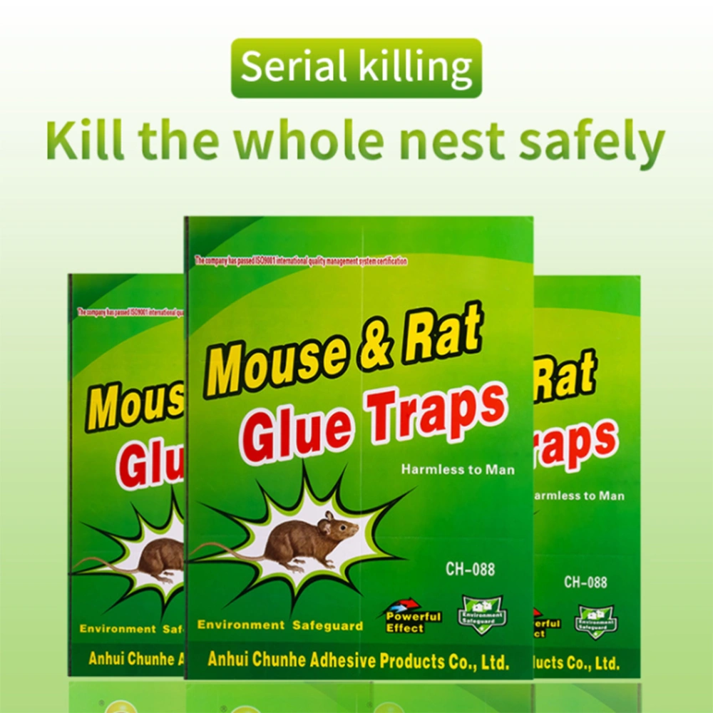 10 Pcs Mouse Board Sticky Mice Glue Trap Non Toxic Eco Friendly Rodent Rat Snake Bugs Catcher Pest Control Reject