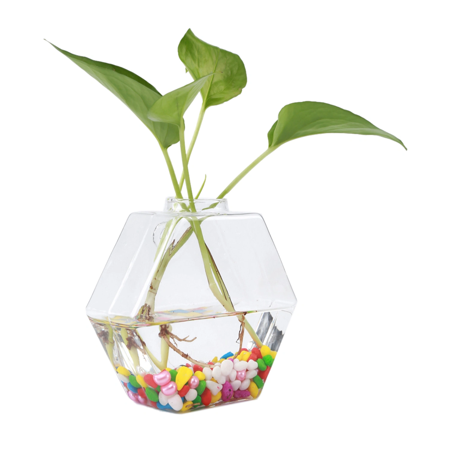 Hanging Plants Flowers Glass Vase Wall Hydroponic Aquarium Container Home Decor #3