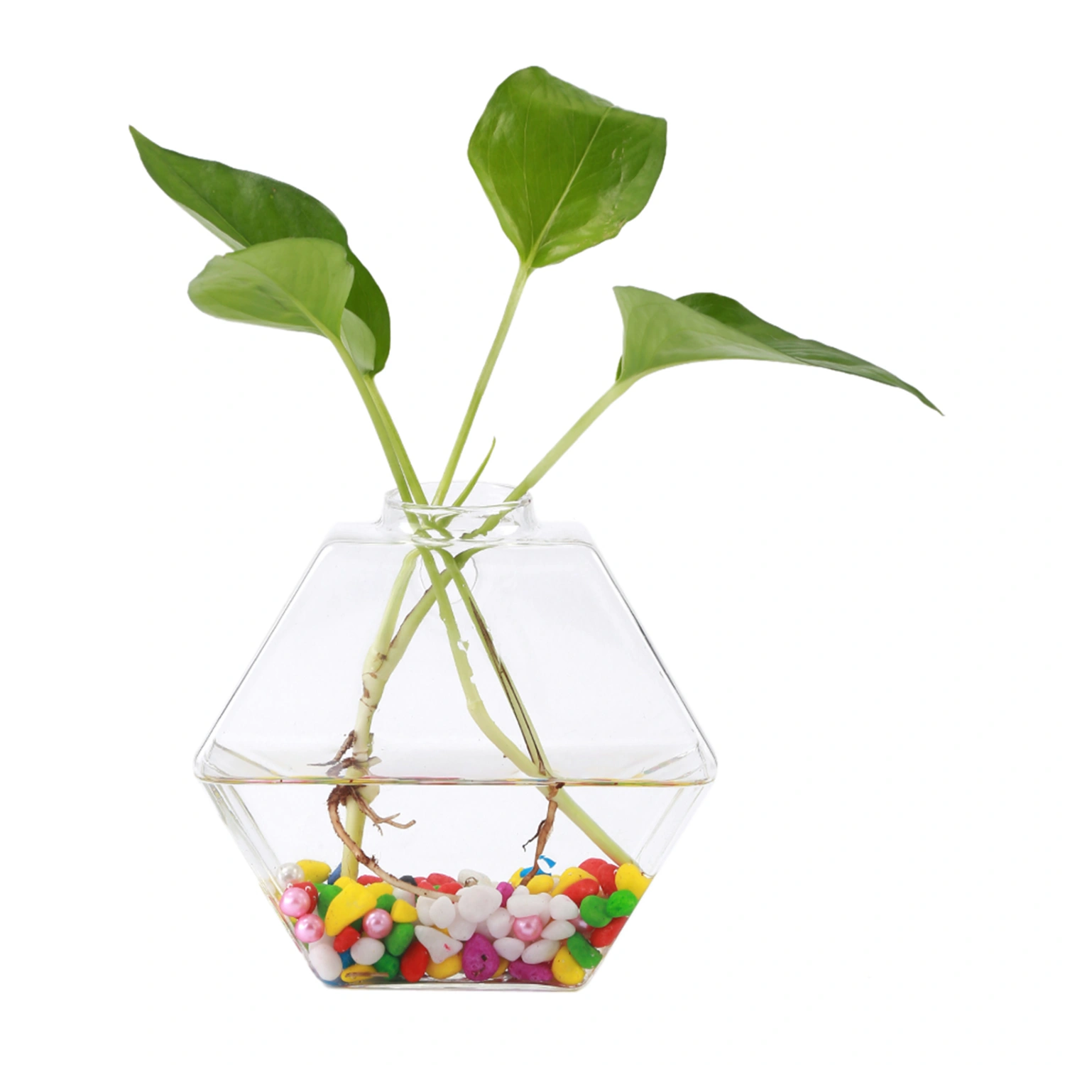 Hanging Plants Flowers Glass Vase Wall Hydroponic Aquarium Container Home Decor #3
