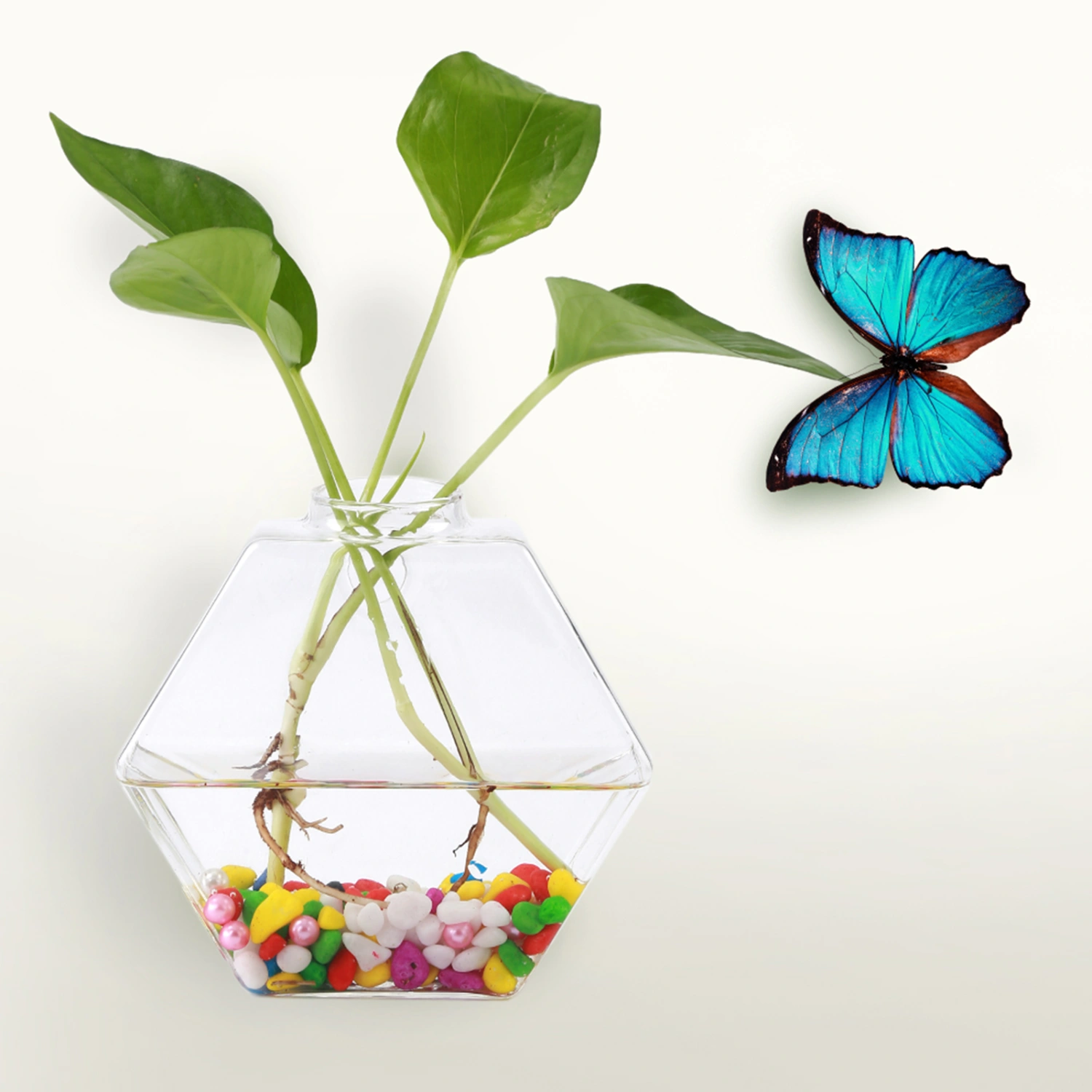 Hanging Plants Flowers Glass Vase Wall Hydroponic Aquarium Container Home Decor #3