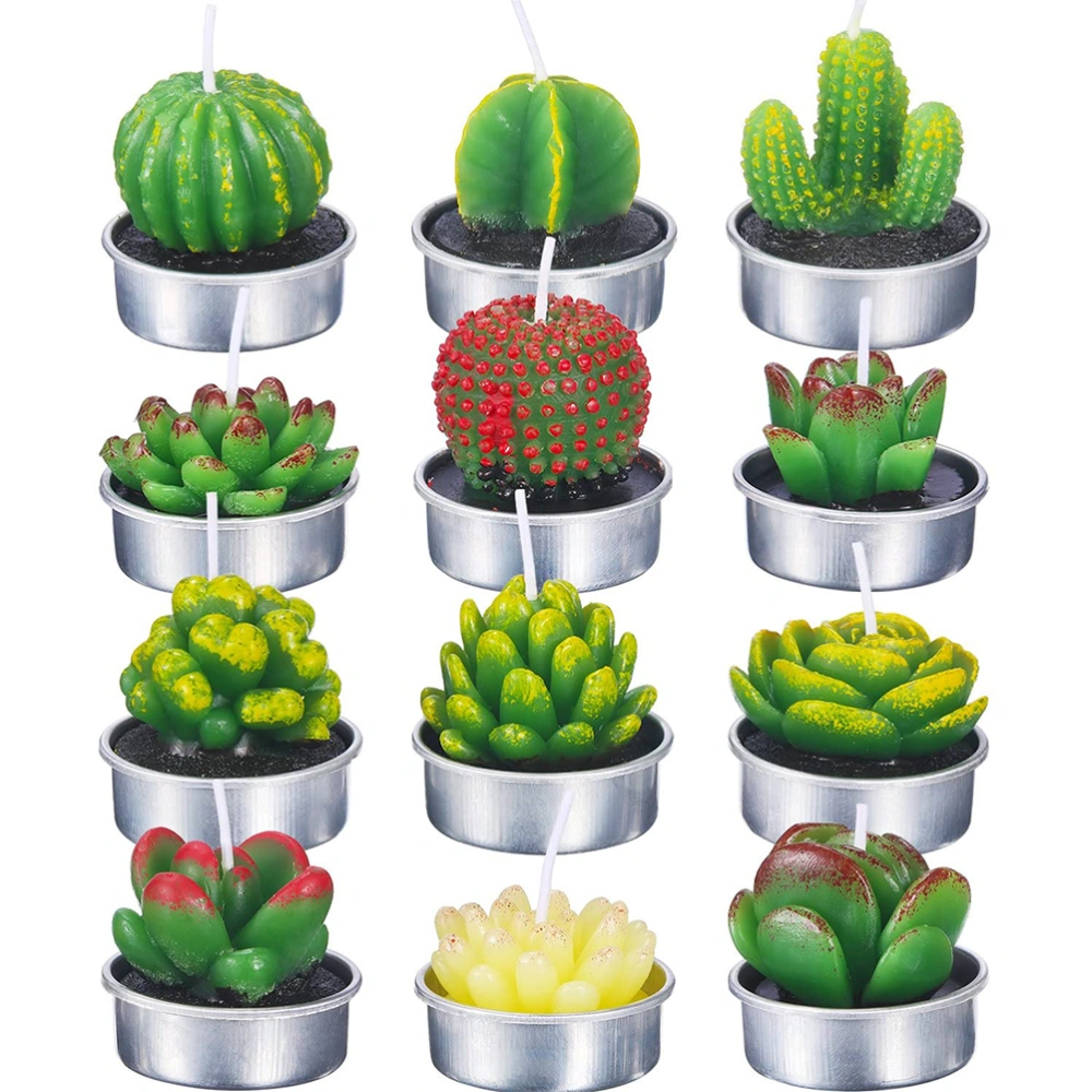 12 Pieces Succulent Plant Candles Delicate Succulent Candles for Party Wedding Spa Home Decoration Gifts