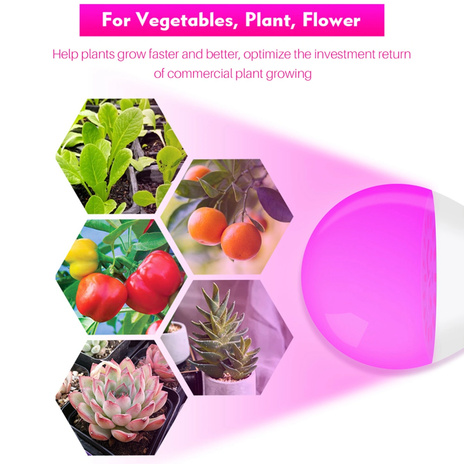 LED Grow Light Bulb Full Spectrum Growing Lights for Indoor Plants E26 E27 Plant Light Bulbs for Indoor Greenhouse Hydroponic Succulent