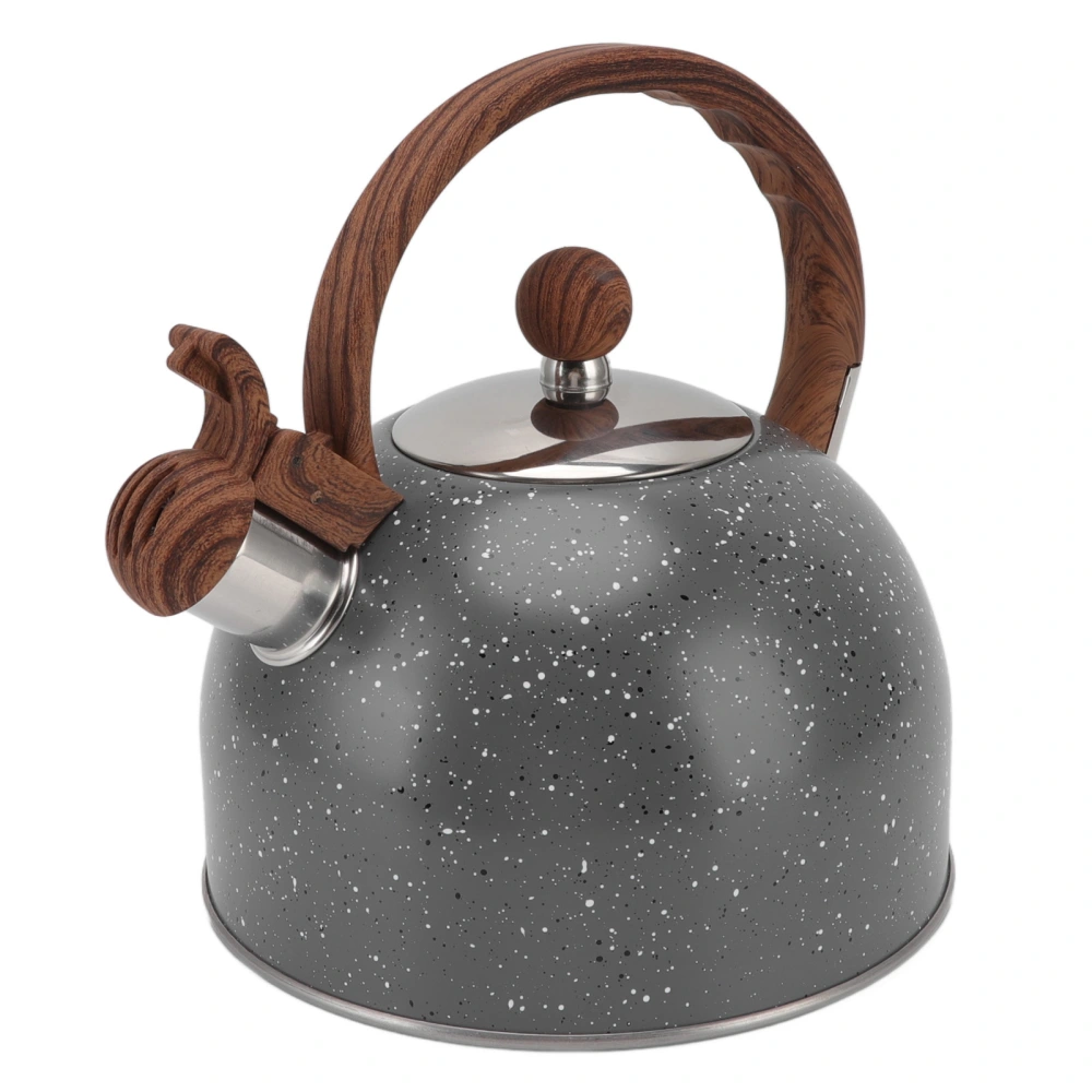 Whistling Kettle 2.5L Capacity Stainless Steel Stovetop Teapot for Water Boiling Grey