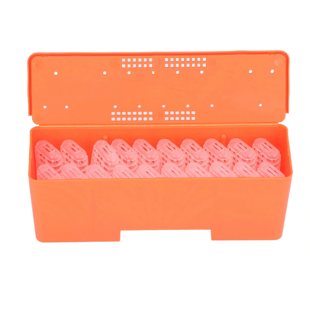 King Cage Transport Box with 20Pcs Queen Bee Rearing Cages Transparent King Cage Beekeeping Tools